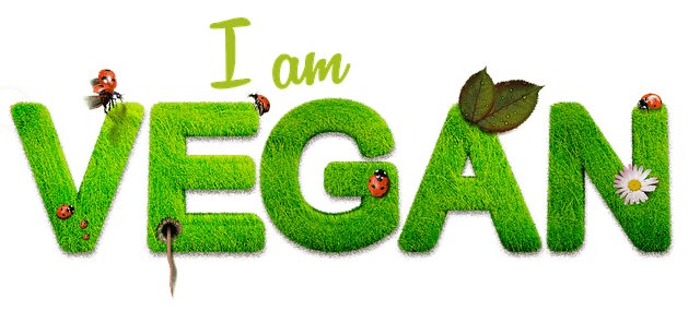 Veganistische yoga retreats Yogagezondheidsvakanties.be