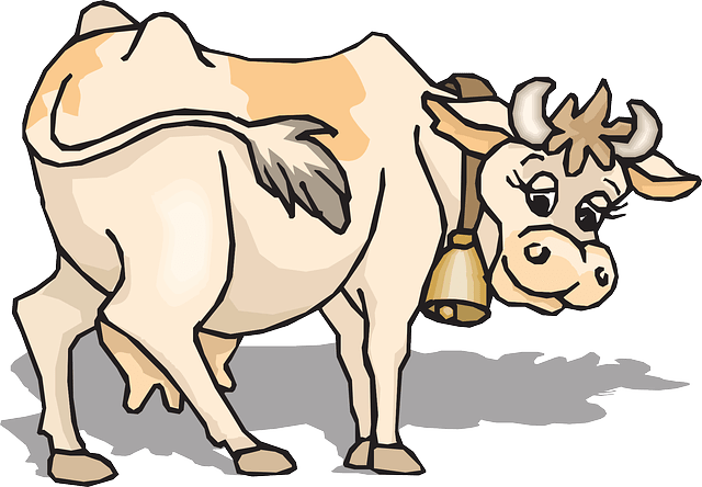 Vegetarische yoga retreats Yogagezondheidsvakanties.be