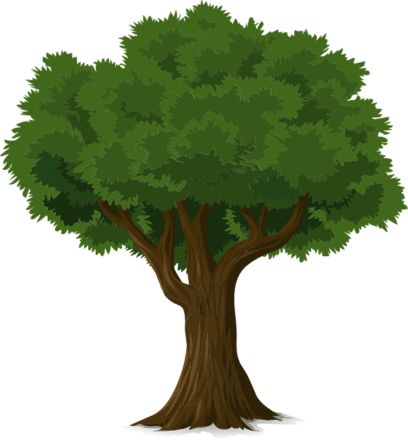 Yoga retreats in de natuur Yogagezondheidsvakanties.be