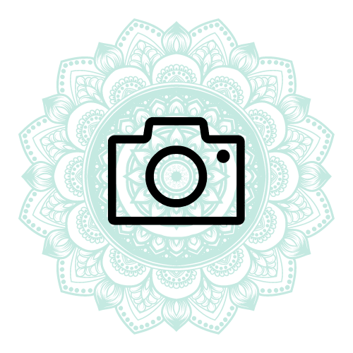 Vakantie in the Picture